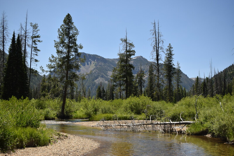 item thumbnail for Goat Mountain from Jacob's Ladder area in Edwardsburg, Idaho