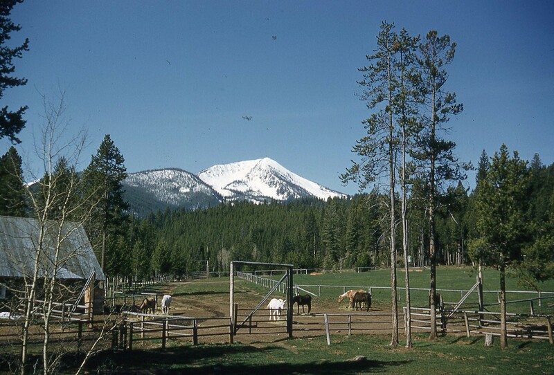 item thumbnail for View of the Big Creek Commissary and corrals, looking southwest, with Dutch the Palomino in view