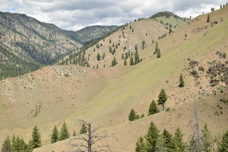 item thumbnail for Cabin Creek looking north