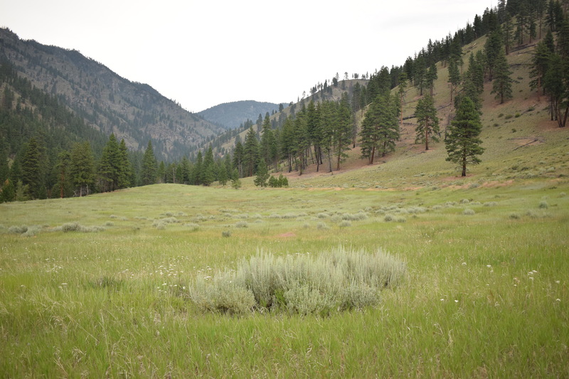 item thumbnail for View of the now defunct upper airstrip at Cabin Creek