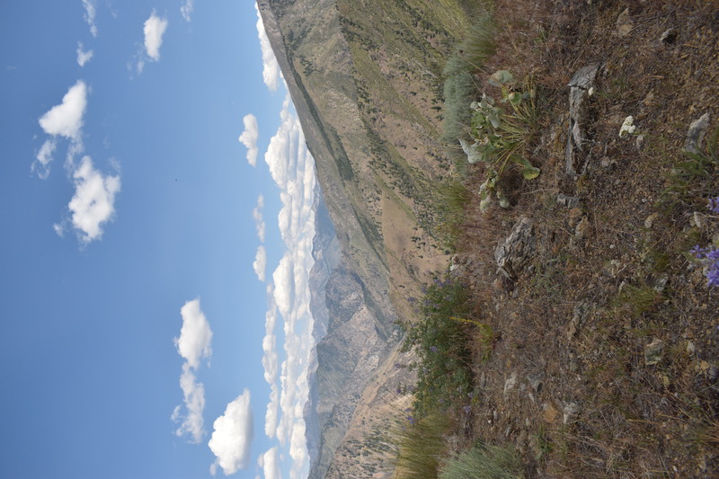 item thumbnail for Looking east from the Rush Point Lookout trail