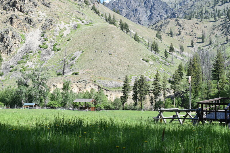 item thumbnail for Looking north, at the Cliff Creek drainage across Big Creek, from the Taylor Wilderness Research Station