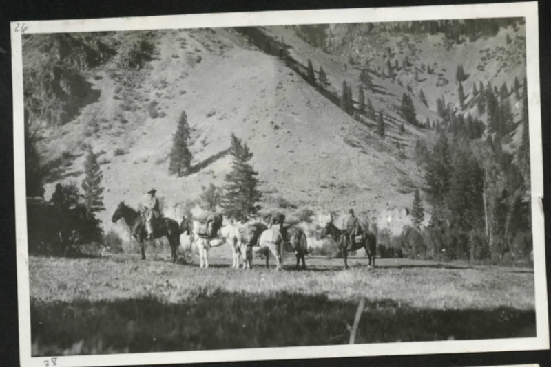 item thumbnail for Pack string on the Dave Lewis property on Big Creek