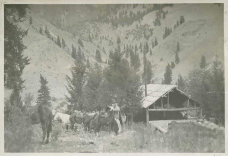 item thumbnail for The Lewis Cabin at Taylor Wilderness Research Station on Big Creek