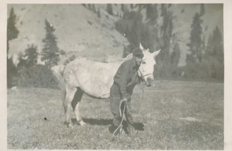 item thumbnail for Man with mule, Cliff Creek drainage to the north, Dave Lewis property