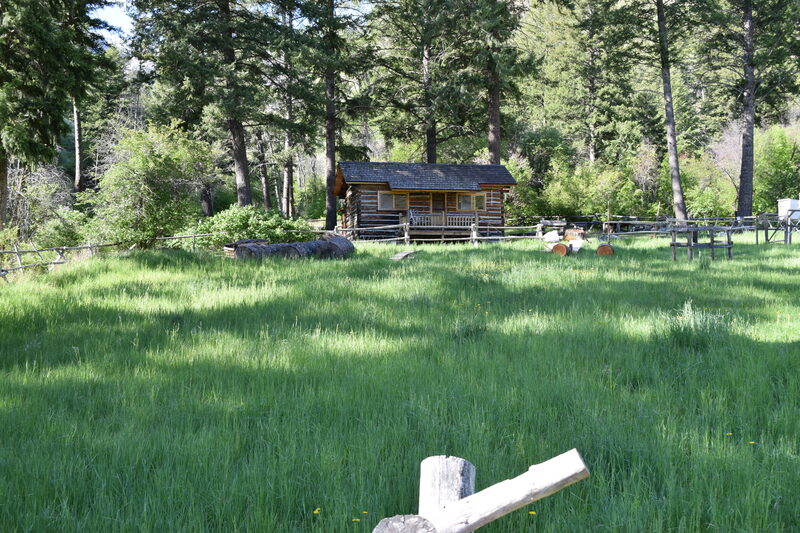 item thumbnail for View of the Lewis Cabin, Taylor Wilderness Research Station