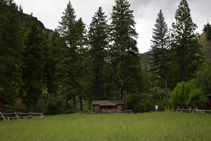 item thumbnail for View of the Lewis Cabin, Taylor Wilderness Research Station