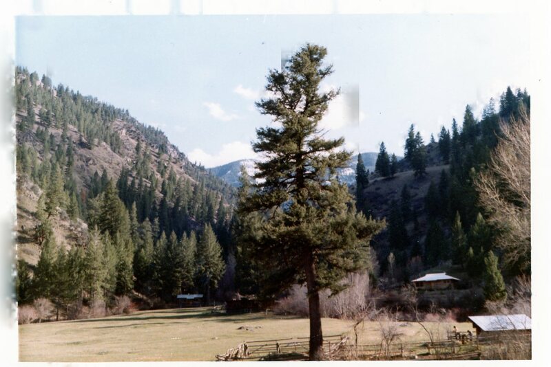 item thumbnail for View of Taylor Wilderness Research Station from the north side of Big Creek