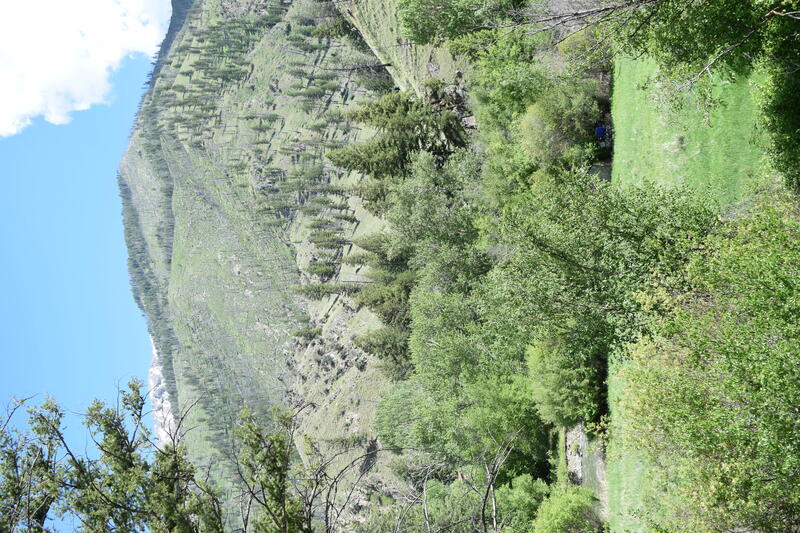 item thumbnail for View of Taylor Wilderness Research Station from the north side of Big Creek