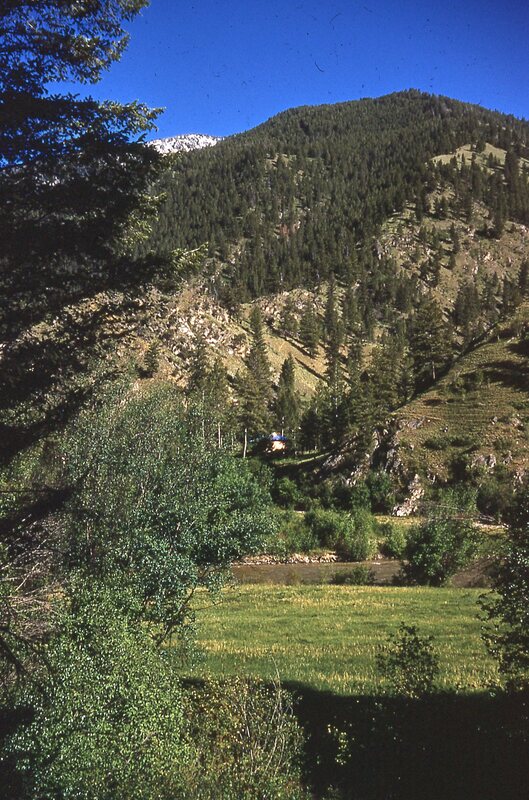 item thumbnail for View of the Jess Taylor Ranch from the north side of Big Creek