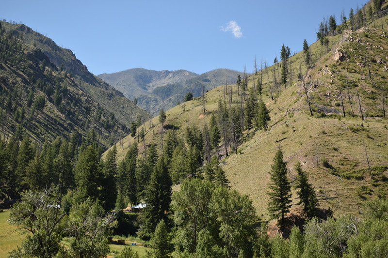 item thumbnail for View of Taylor Wilderness Research Station from the north side of Big Creek