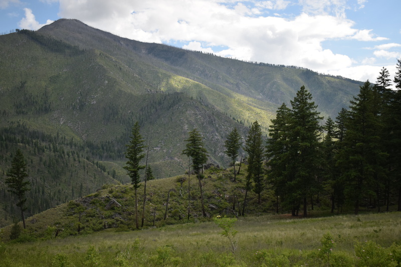 item thumbnail for View of Goat Basin, looking south across Big Creek