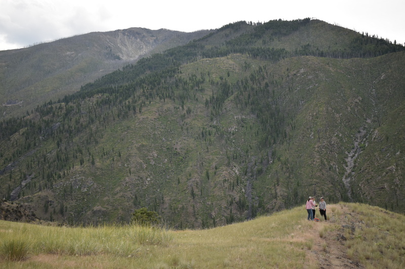 item thumbnail for Teresa Cohn, Ruby Fulton, and Yolonda Youngs on the first bench looking south