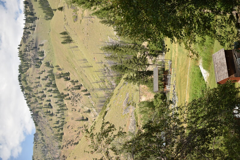 item thumbnail for View of the hay barn at Taylor Wilderness Research Station