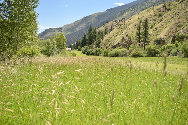 item thumbnail for View from the western end of the Taylor Wilderness Research Station airstrip