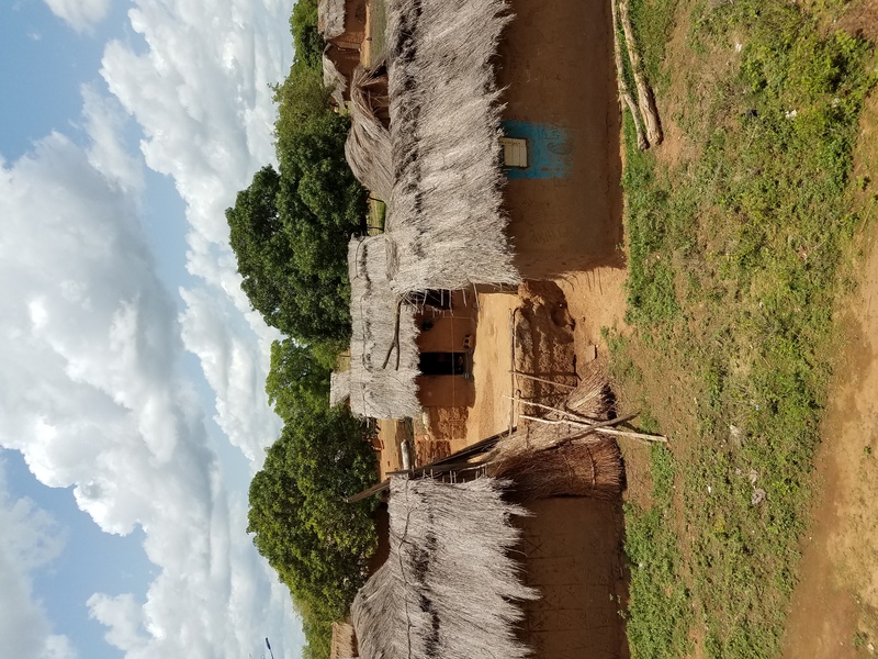 Tamale Houses