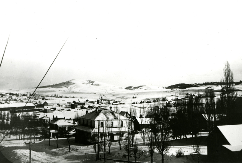 item thumbnail for Panoramic view of Moscow, Idaho looking southeast circa 1907.