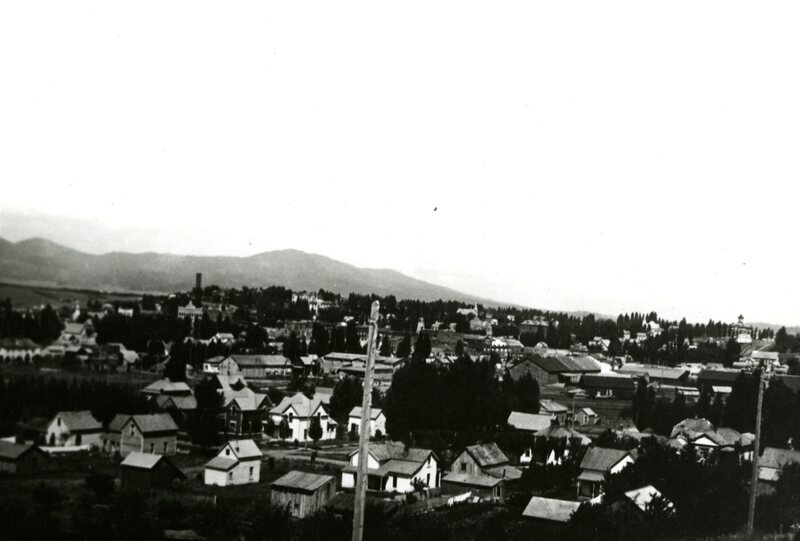 item thumbnail for Panoramic view of Moscow, Idaho taken from Morrill Hall