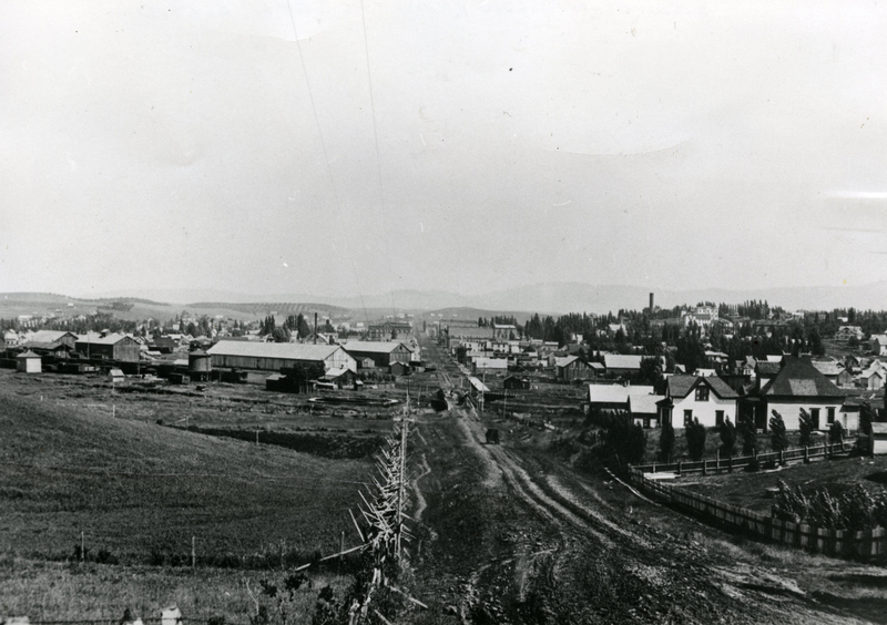 item thumbnail for View of Moscow, Idaho from the south, 1910