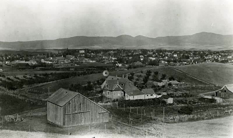 item thumbnail for View of Moscow, Idaho from the southwest