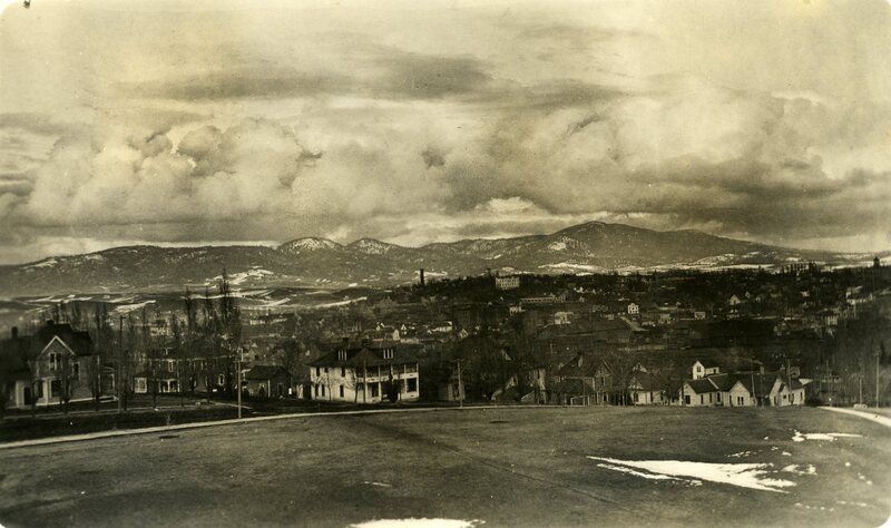 item thumbnail for View of Moscow, Idaho from the University of Idaho campus looking northeast