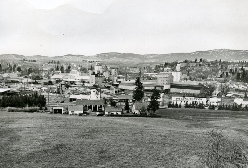 item thumbnail for View of Moscow, Idaho looking north from Taylor Avenue