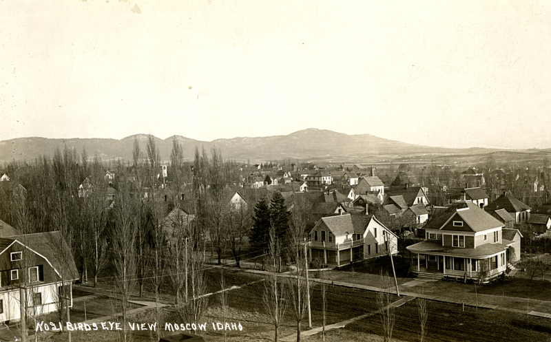 item thumbnail for No. 21 Birds Eye View Moscow Idaho