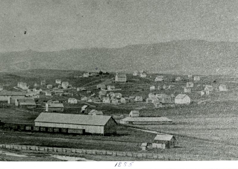 item thumbnail for An enlarged view of Moscow, Idaho in 1885