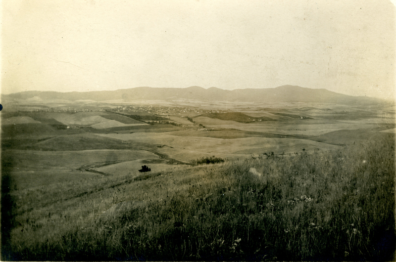 item thumbnail for A distant view of Moscow, Idaho