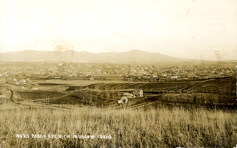 item thumbnail for No. 25 Birds Eye View Moscow Idaho