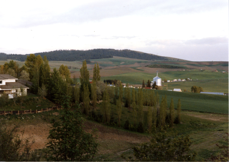 item thumbnail for A view southeast from Walenta Hill in Moscow, Idaho