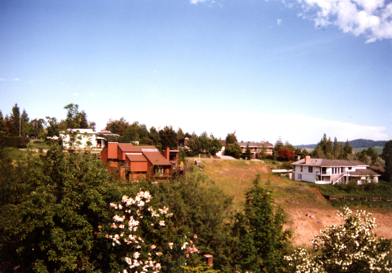 item thumbnail for A view of Moscow, Idaho residences looking east