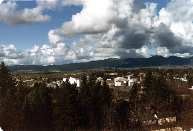 item thumbnail for A view of Moscow from Ridge Road