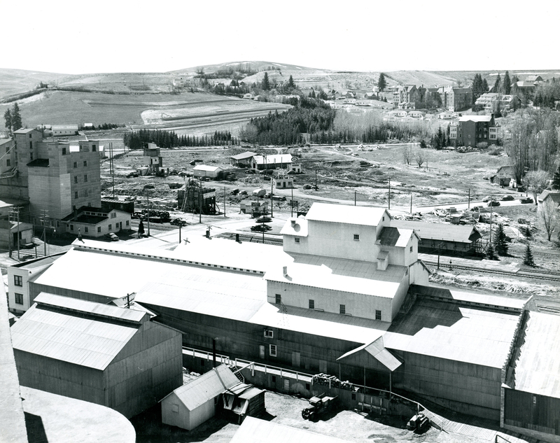 item thumbnail for Panoramic view of southwest Moscow, Idaho showing the railroad and University of Idaho