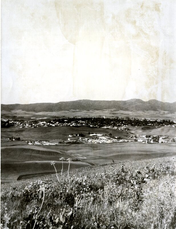 item thumbnail for Looking over Moscow, Idaho towards Moscow Mountain