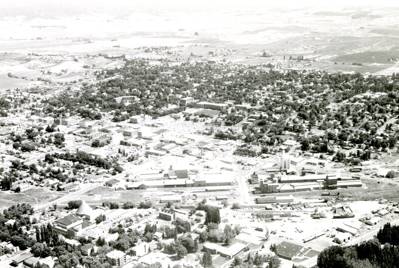 item thumbnail for Aerial view of Moscow, Idaho looking east