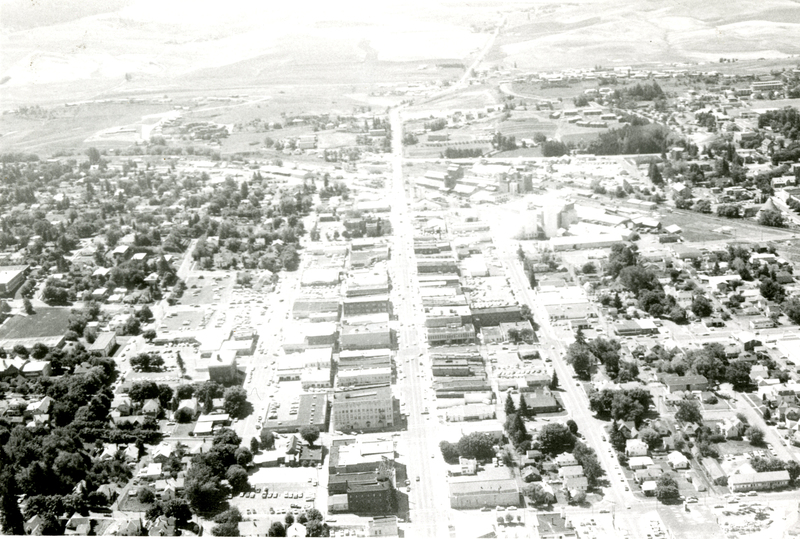 item thumbnail for Aerial view of Moscow, Idaho looking south