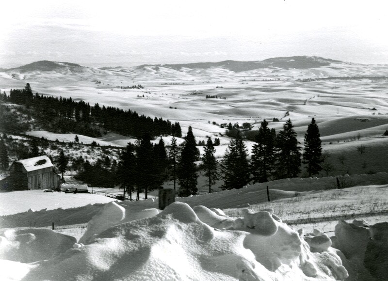 item thumbnail for A view of the palouse covered in snow near Moscow, Idaho