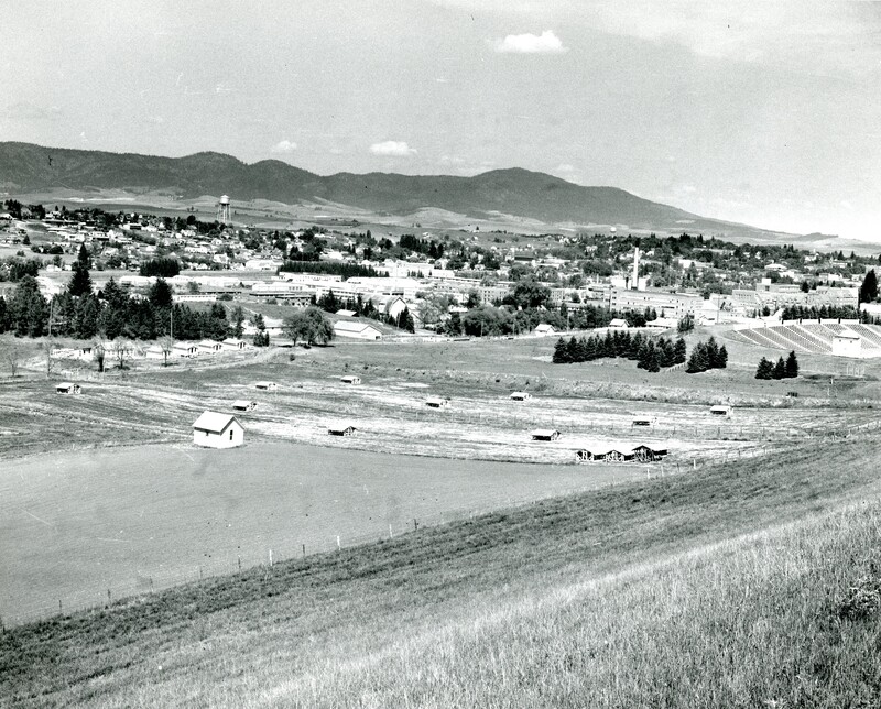 item thumbnail for Moscow, Idaho from the Unviersity of Idaho northeast