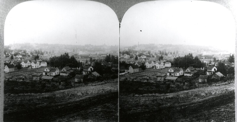 item thumbnail for Stereoptic panoramic view of Moscow, Idaho