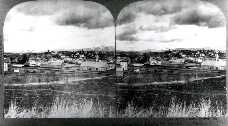 item thumbnail for Stereoptic panoramic view of Moscow, Idaho