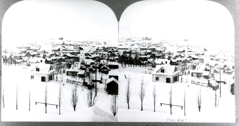 item thumbnail for Stereoptic panoramic view of Moscow, Idaho