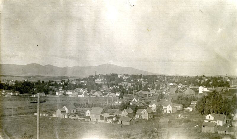 item thumbnail for View of Moscow, Idaho from Morrill Hall, University of Idaho.