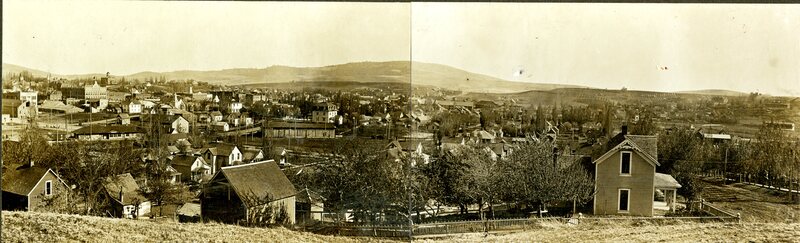 item thumbnail for View of Moscow looking southeast