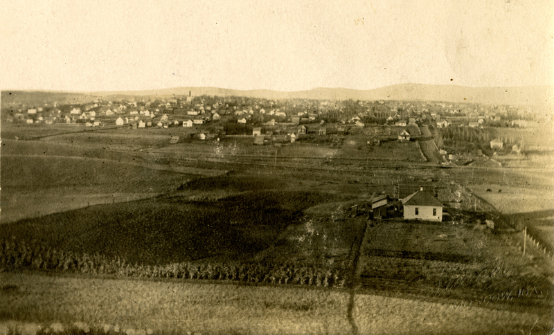 item thumbnail for Panoramic view of Moscow, Idaho