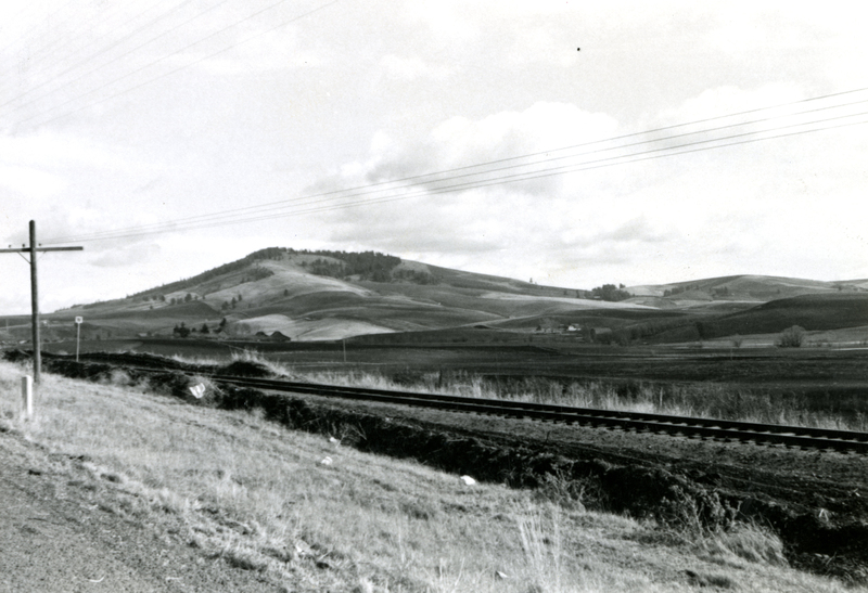 item thumbnail for Railroad tracks on the palouse