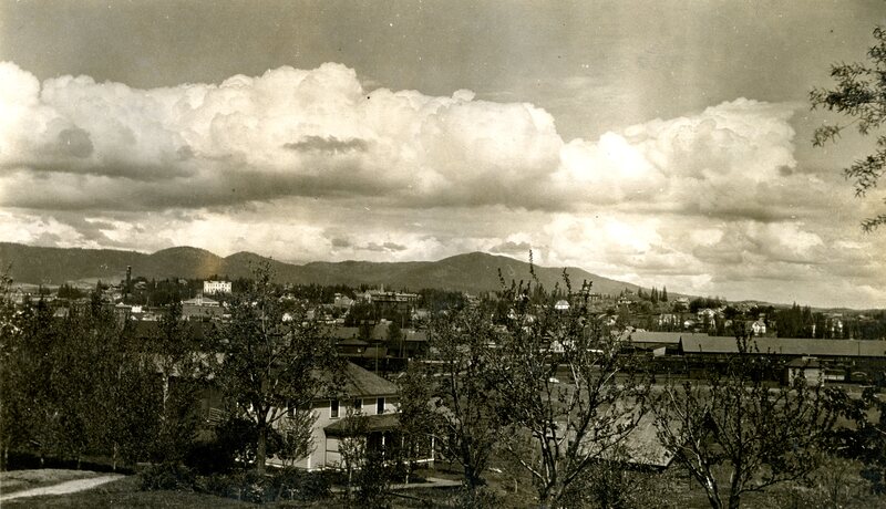 item thumbnail for A view of Moscow, Idaho looking northeast.