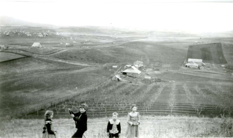 item thumbnail for A view of the Palouse outside of Moscow, Idaho