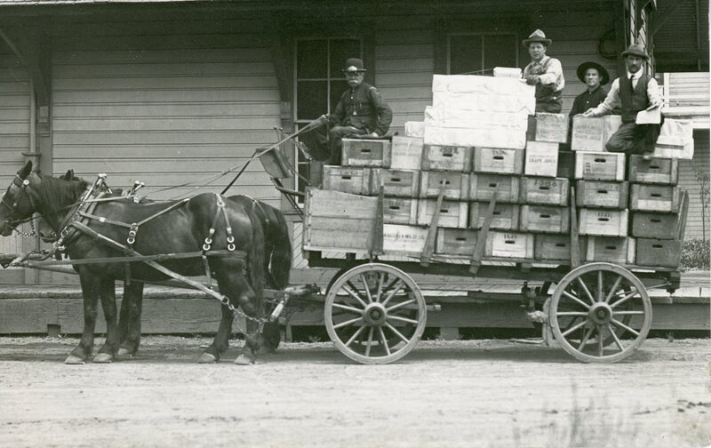 item thumbnail for Gelwick Horse Drawn Carriage Post Card