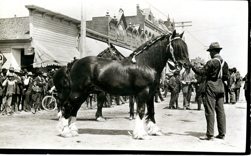 item thumbnail for Draft Horses on 4th of July Postcard